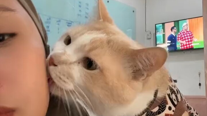“Phản ứng gay gắt”