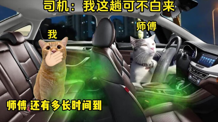 司机：我这趟可不白来