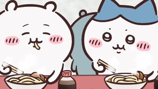 我为什么喜欢小八