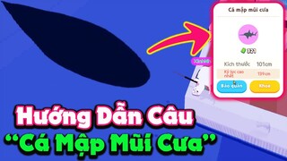 Play Together | Cách Câu "CÁ MẬP MŨI CƯA" Với Độ Chính Xác Gần Như Là Tuyệt Đối