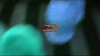 fish color in bule lost effect