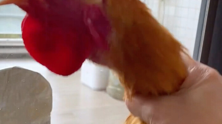 The rooster crows, but its mic gets muted—it’s obviously furious!