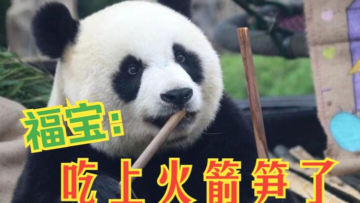 【Seri Pembuktian】Xiaofu: Ayah baru saya sangat profesional, bukan tipe yang hanya bisa berakting men