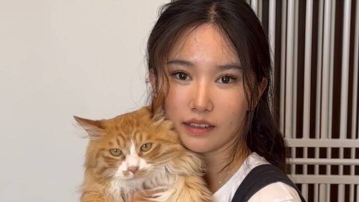 زهرة الحرم الجامعي في كلية مودي للقطط———الجميع يتقاتل للفوز بها