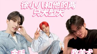 徐小八和他的两只大型犬［奎八］VS［硕八］