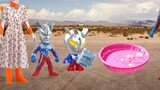 Toy Enlightenment Video: Ultraman Little Ciro understands that desiccants cannot be eaten and are da