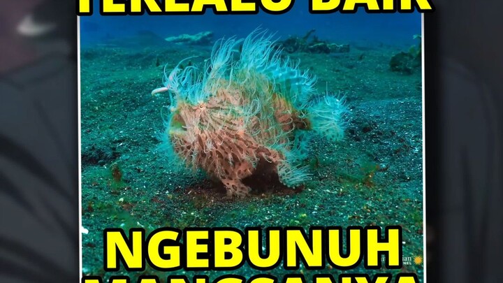 ga ada yang bisa lolos dari makhluk ini