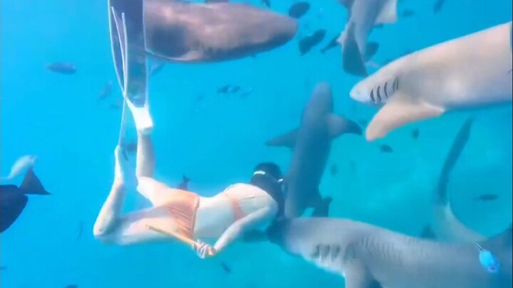 Woman Gets Bitten by a Shark—When They Suggest Amputation, She Just Laughs It Off!