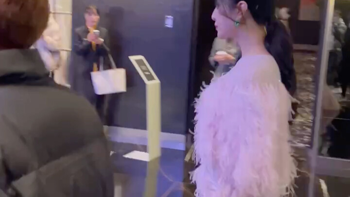 Meeting the Beauty Goddess Fan Bingbing