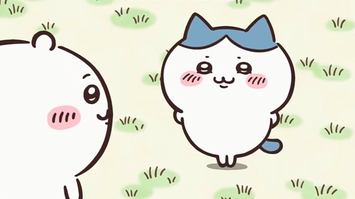 小八特殊小表情怪可爱30秒纯享版【chiikawa】