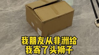 千万别相信我朋友！我感觉这不是狮子