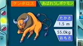 オーキド博士のポケモン講座(ケンタロス)