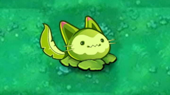 Tanaman Baru: Meong-Meong