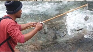 net fishing in Nepal | himalayan trout fishing | asala fishing |