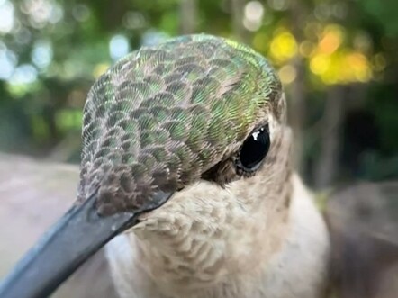 Melayang Maksimal dari Mesin V8