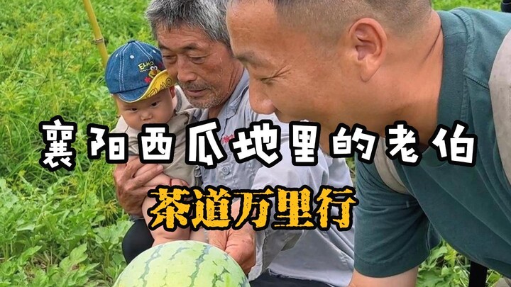 จิบชา ทานแตงโมกลางทุ่งนา #การเดินทางพันไมล์แห่งพิธีชากับลาเฒ่า#แลกเปลี่ยนความสุขด้วยชา#ท้าทายการแลกข