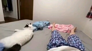 منذ أن لمستني، سأقترب منك أكثر.