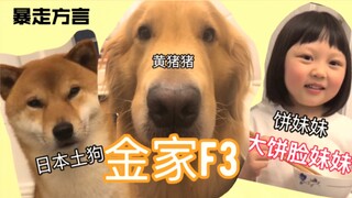 Today I'm heading to my sister's place with Hani to chat with two little cuties.