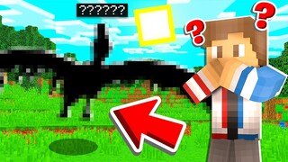 CATCHING THE BEST FIRE TYPE LEGENDARY POKEMON! - Minecraft Pixelmon Generations Mod