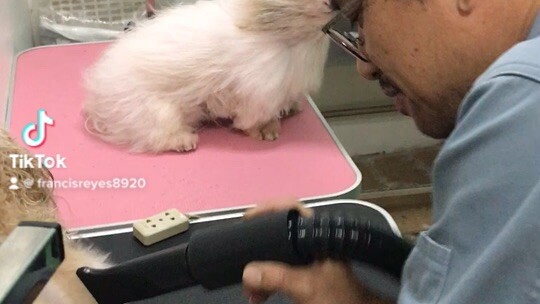 He feels like flying