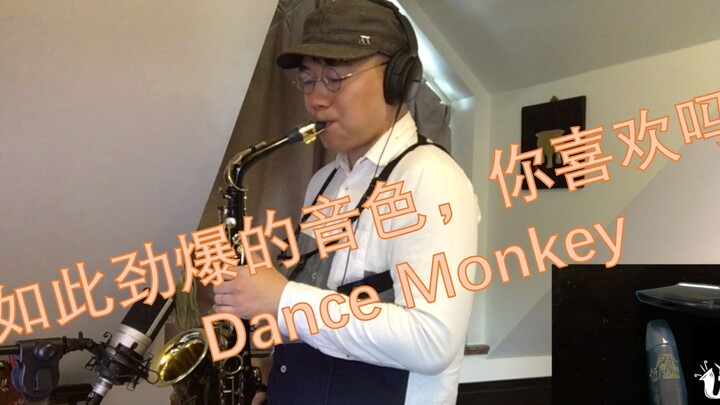 如此劲爆的sax音色，你喜欢吗？dance monkey，saxtribution：郭明杰