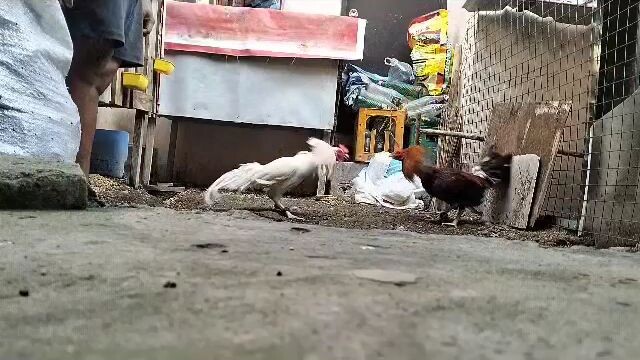 Exercise sa mga nakasalang na Bc..   #J5Gameyard