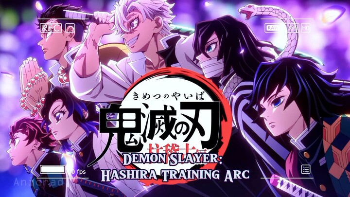 Demon Slayer Hashira Training Arc Opening