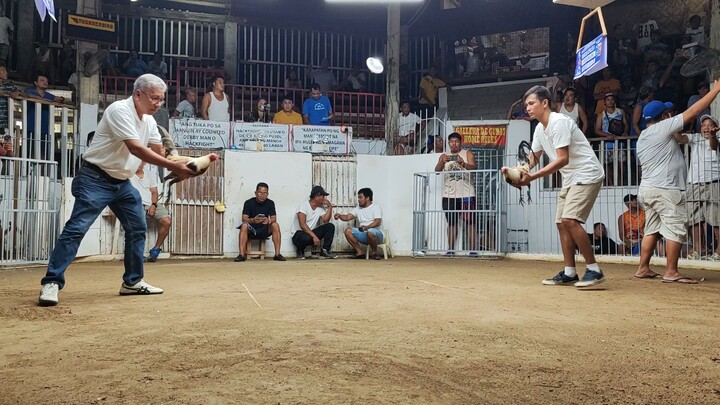 The Harold Brown Grey - loss