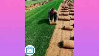 haha hihi xem để giải stress 2 #funny