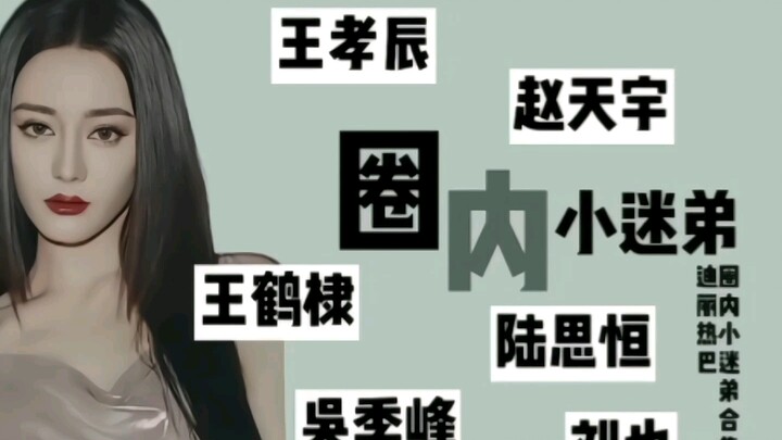 How many little fans does Dilraba have in the entertainment industry?