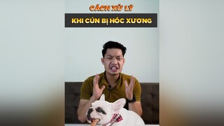 Cách xử lý khi cún bị hóc xương tuitienpet petonesaigon petnhatrang dcgr