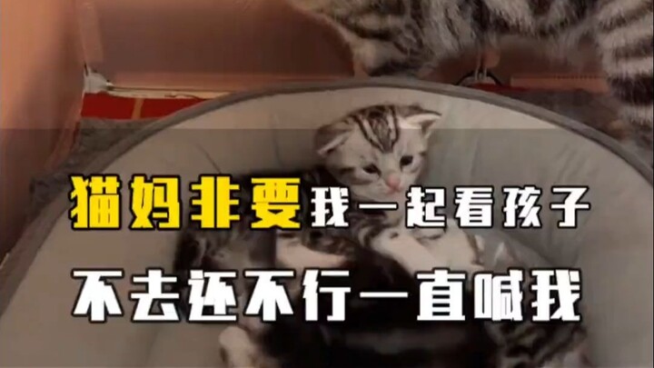 Which cat has such unreasonable demands? Every night it insists I watch the baby with it—Grandma’s a