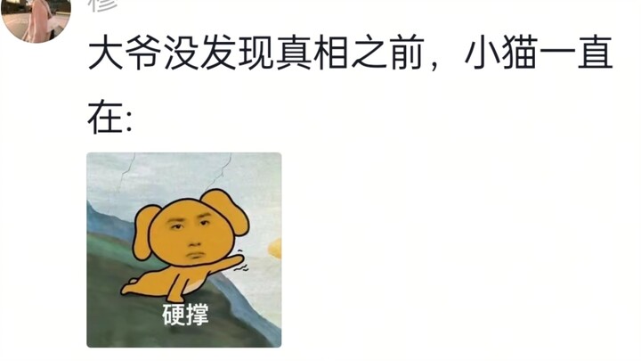 นึกว่าลูกแมวกำลังเข็นรถ ที่แท้เล็บติดกับเหล็กเพราะเหยียบน้ำ!
