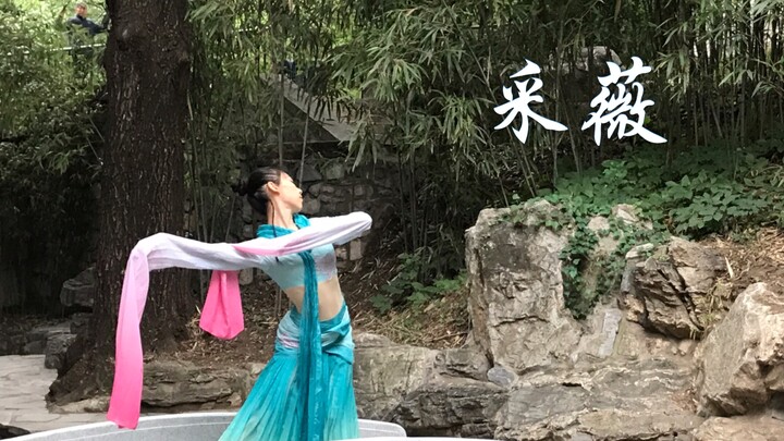 时隔一年半再跳《采薇》有无进步？  单人版一镜到底