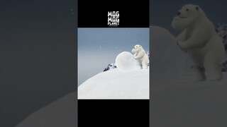 Stoat ＆ Polar bear - MOGMOG PLANET Observation Diary | It's Anime #shorts #anime #animals