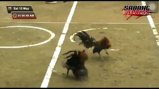 Machine kelso in action #6