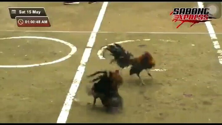 Machine kelso in action #6