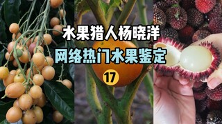 【水果猎人】网络热门水果鉴定17