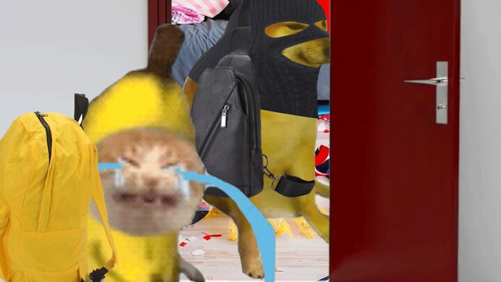 Banana Cat came home from school, but his house was robbed