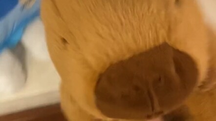 Hampir saja aku tidak bisa menemukan sandalku.