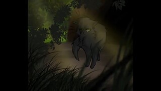 HOLLYLEAF AMV || Quiet Like The Snow (CW: Flash, Blood) (By Sitavara)