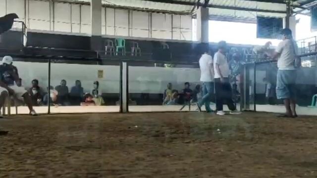 boston rh lose begti cockpit