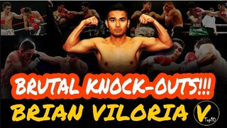 10 Brian Viloria Greatest Knockouts