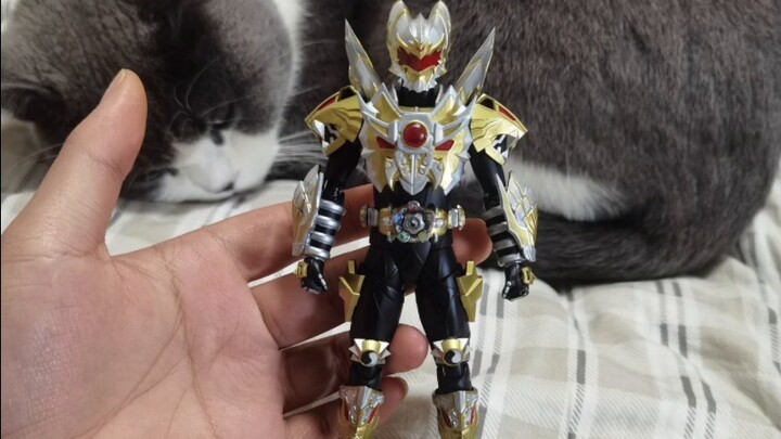 Rebirth of the Flame Dragon Emperor, referred to as the Emperor