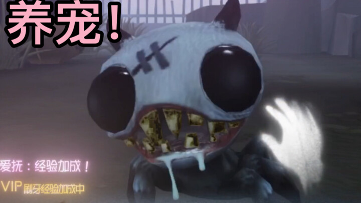 Mode baru Identity V: santai memelihara hewan!