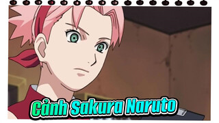 Cảnh Sakura Naruto