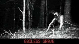 Godless grove | GamePlay PC