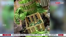 Top Stories BeritaSatu TV - 16 Juli 2025