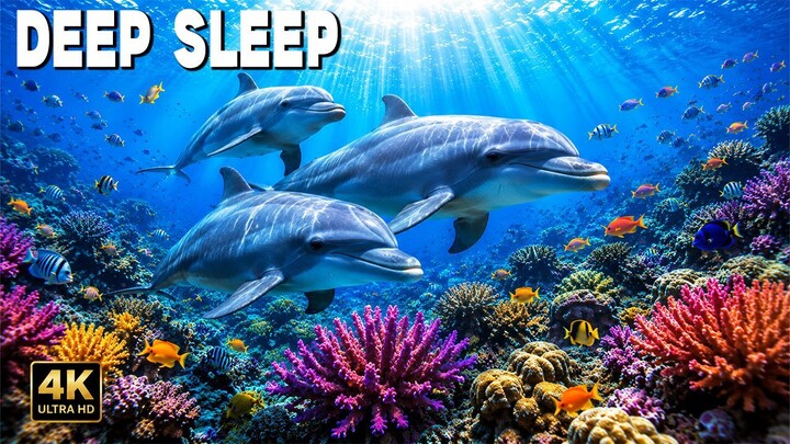 Peaceful Coral Reef Underwater 🌊🐠 | 10 Minutes of Relaxing Ocean Music