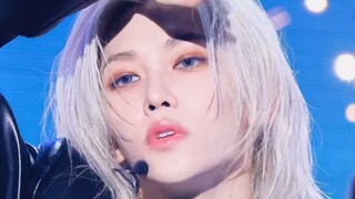Blue Storm Quartet [Bidikan langsung Felix Li Longfu 4K] "Chk Chk Boom"｜240810 Bidikan langsung Stra